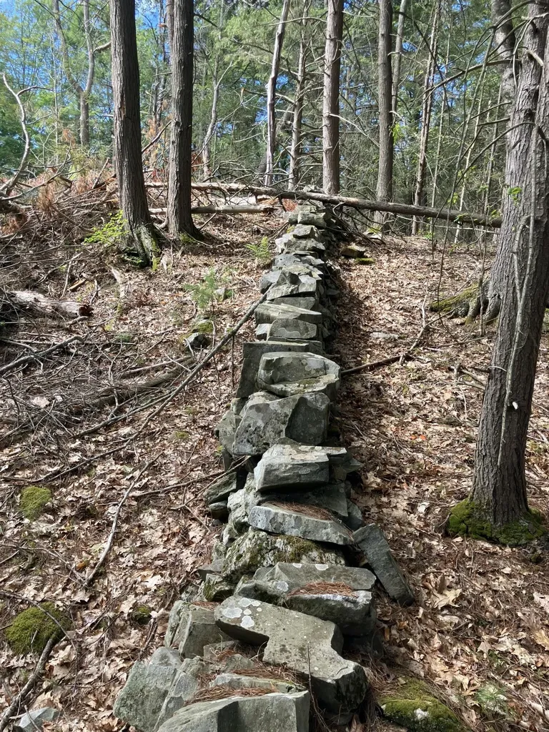 5 Davcarley Road Cape Elizabeth ME 04107