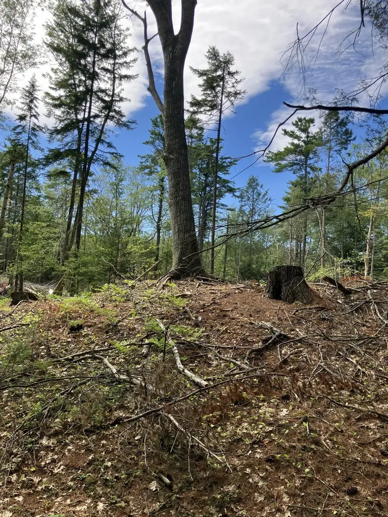 5 Davcarley Road Cape Elizabeth ME 04107