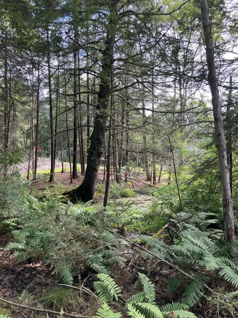 5 Davcarley Road Cape Elizabeth ME 04107