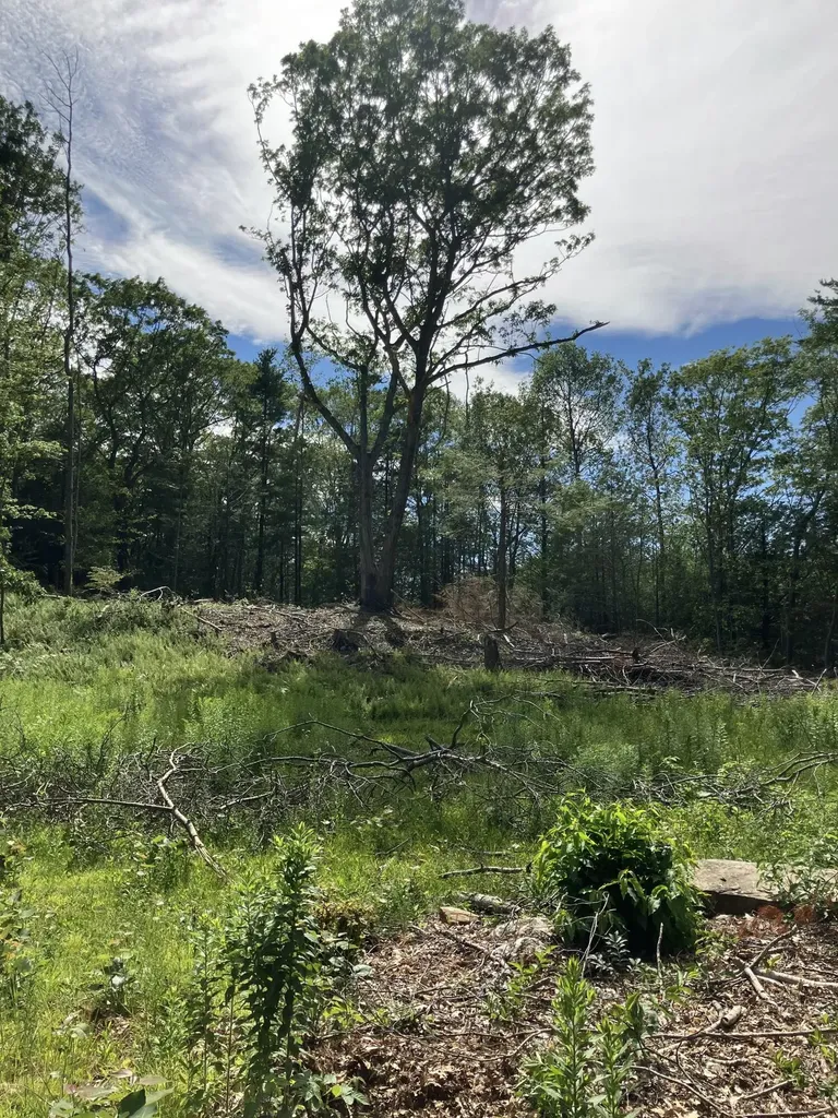 5 Davcarley Road Cape Elizabeth ME 04107