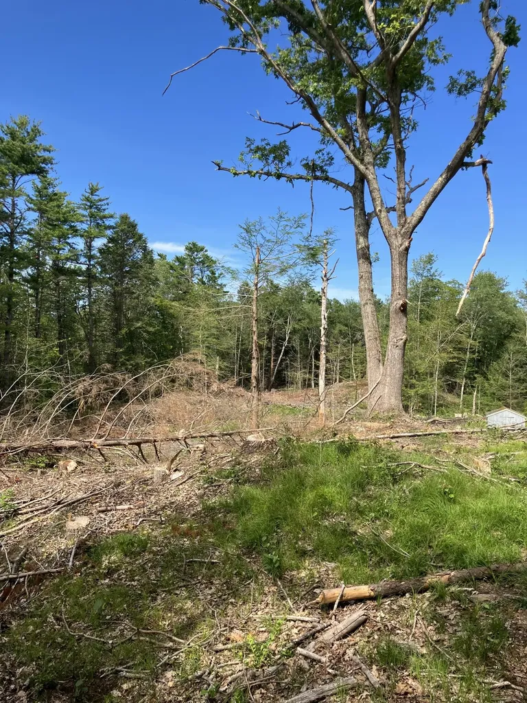 5 Davcarley Road Cape Elizabeth ME 04107