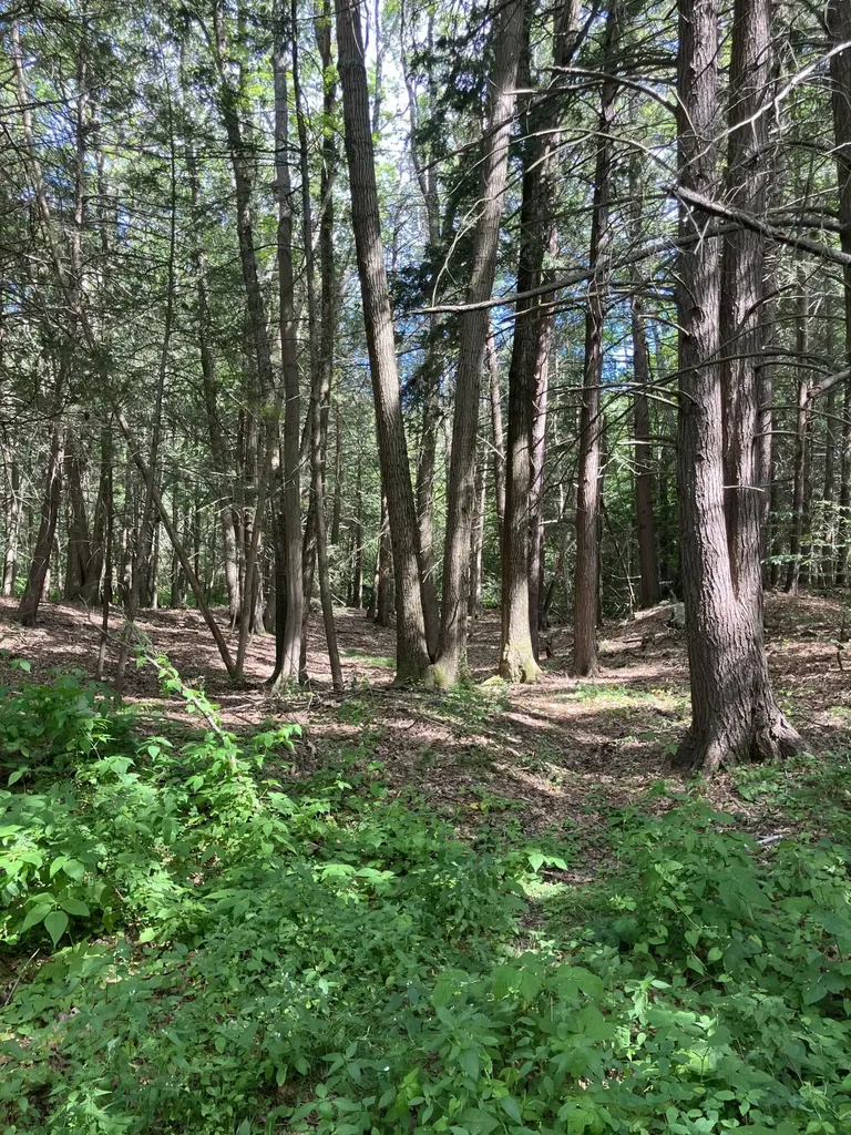 5 Davcarley Road Cape Elizabeth ME 04107