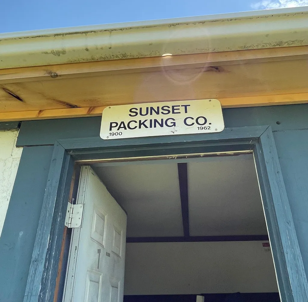 31 Hardy Point Road Pembroke ME 04666