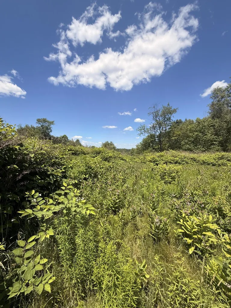 470 Paddy Hill Road Medford ME 04463