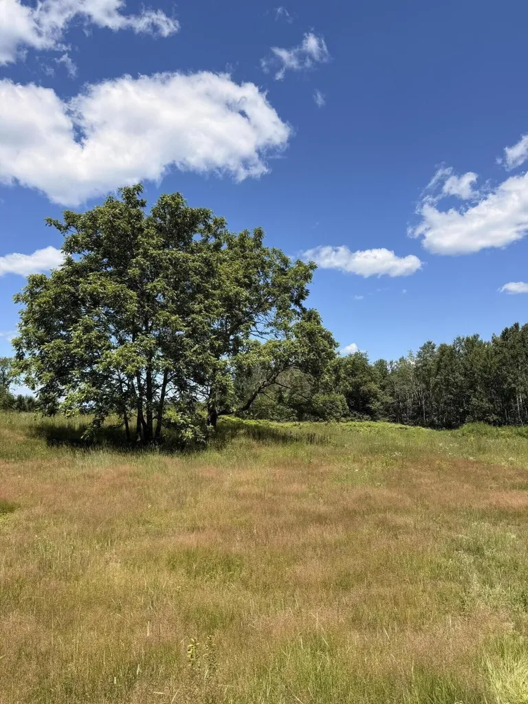 470 Paddy Hill Road Medford ME 04463