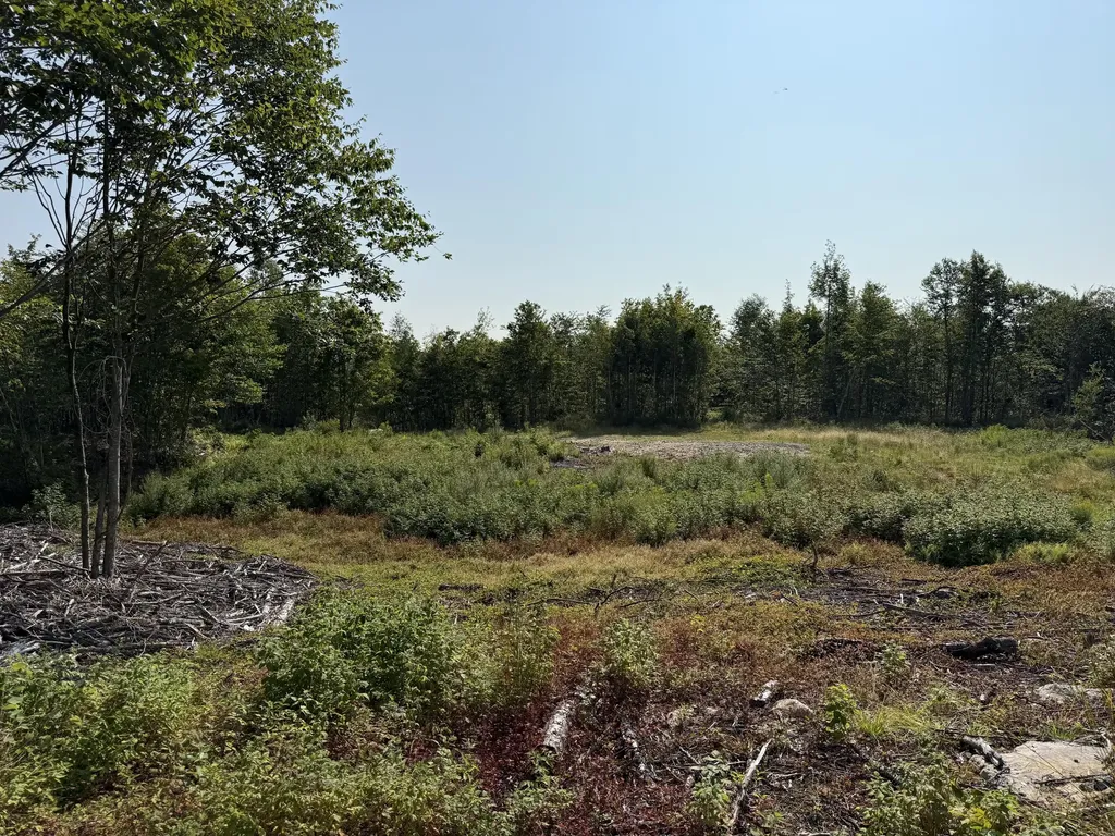 Tbd Oak Mountain Road Springfield ME 04487