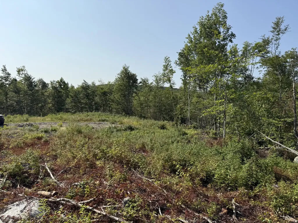 Tbd Oak Mountain Road Springfield ME 04487