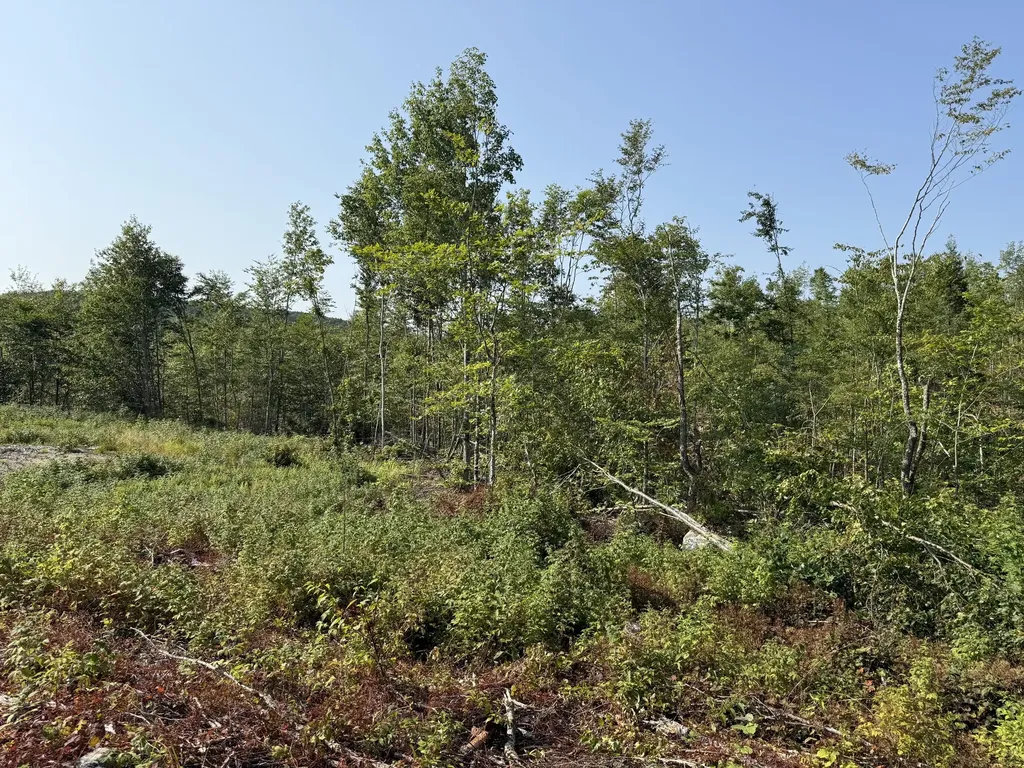 Tbd Oak Mountain Road Springfield ME 04487