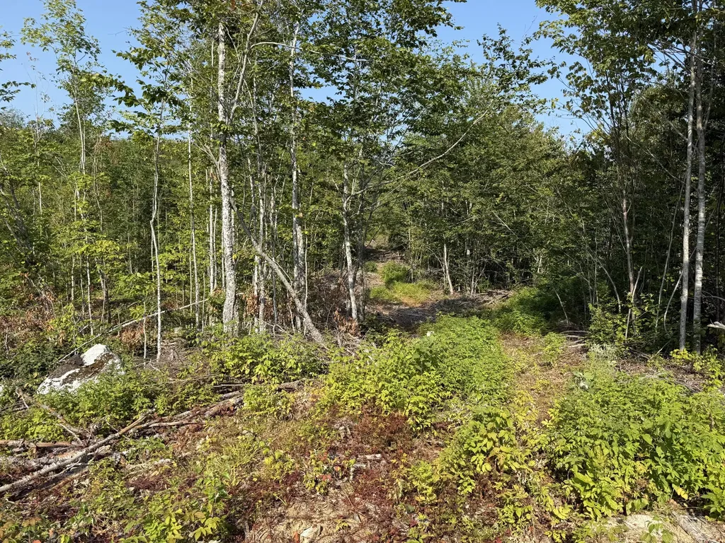 Tbd Oak Mountain Road Springfield ME 04487