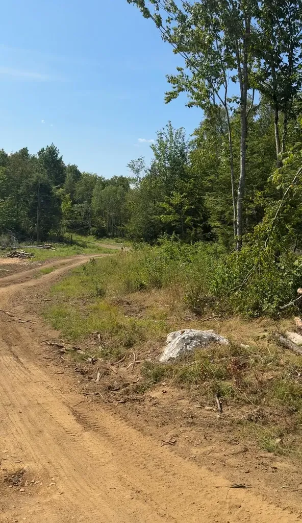 Tbd Oak Mountain Road Springfield ME 04487