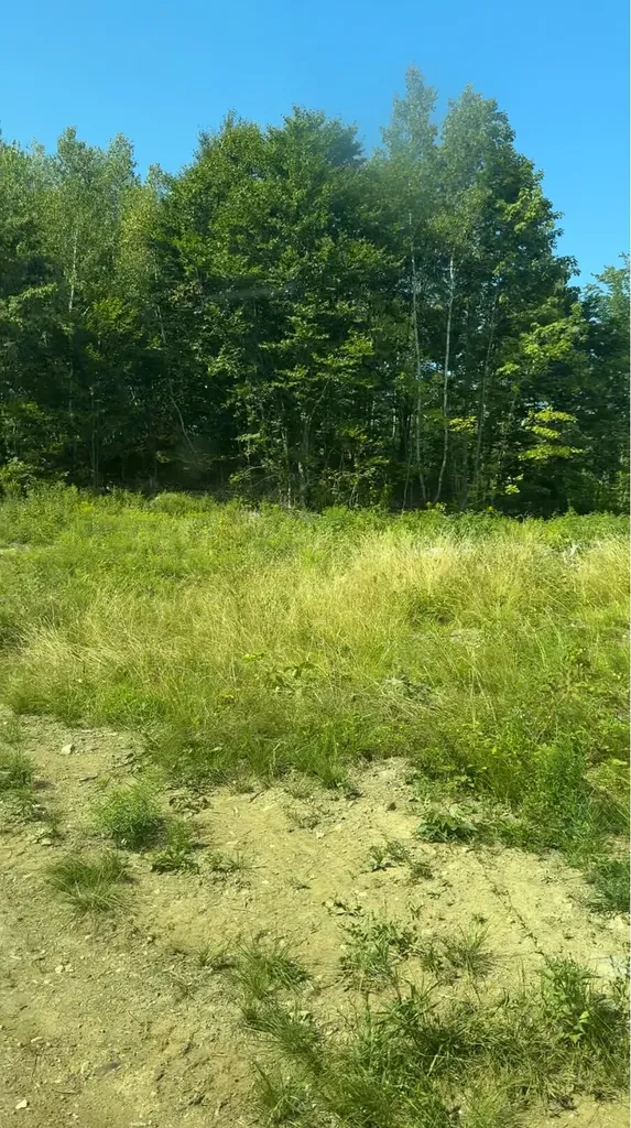 Tbd Oak Mountain Road Springfield ME 04487