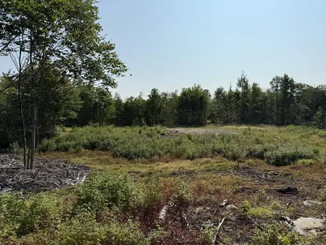 Tbd Oak Mountain Road Springfield ME 04487