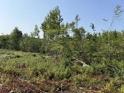 Tbd Oak Mountain Road Springfield ME 04487