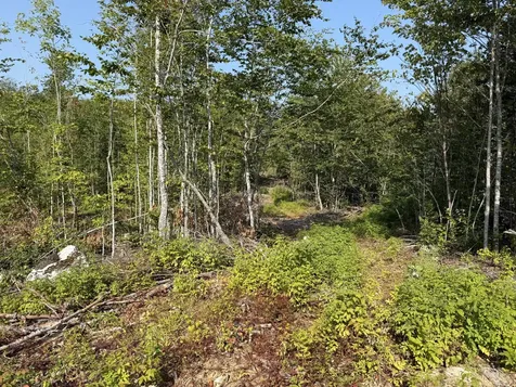 Tbd Oak Mountain Road Springfield ME 04487