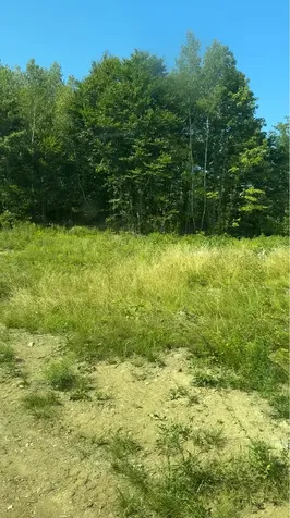 Tbd Oak Mountain Road Springfield ME 04487