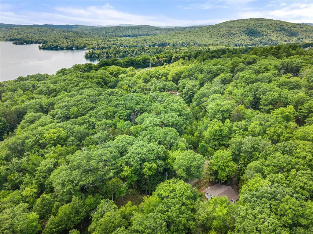 46 Larkspur Road Dedham ME 04429