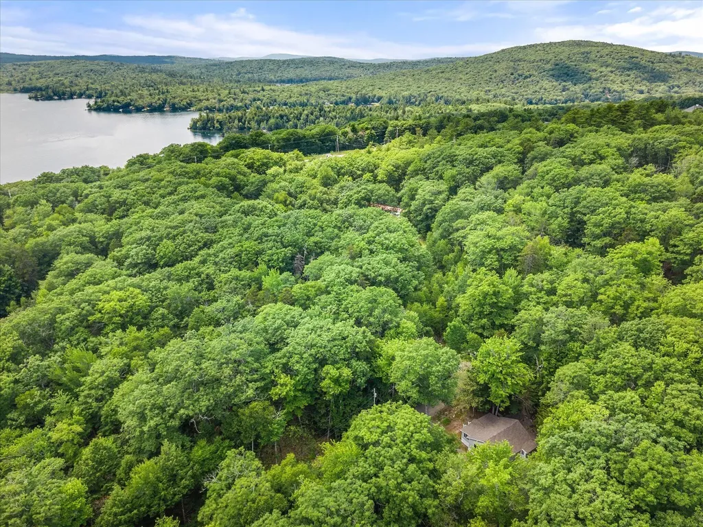 46 Larkspur Road Dedham ME 04429