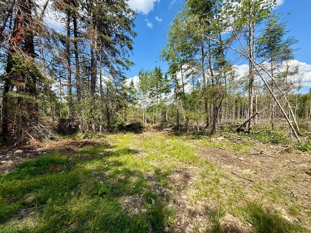 Tbd Loon Bay Road Dyer Twp ME 04492