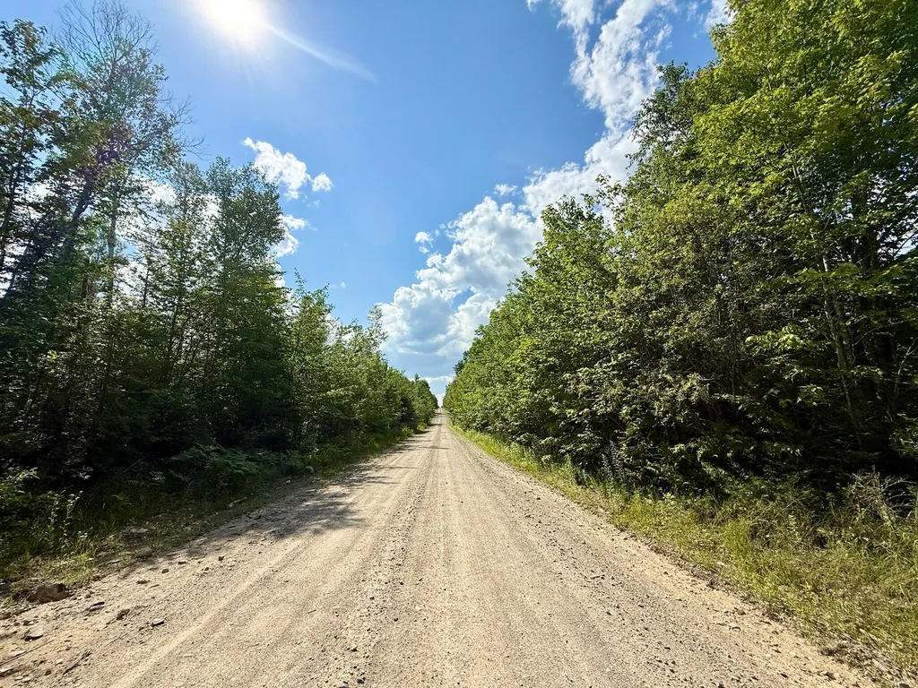 Tbd Loon Bay Road Dyer Twp ME 04492