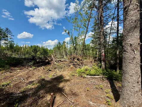 Tbd Loon Bay Road Dyer Twp ME 04492