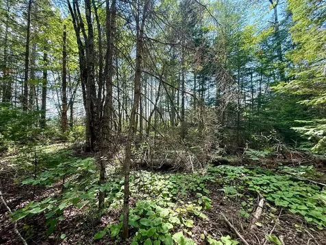 Tbd Loon Bay Road Dyer Twp ME 04492
