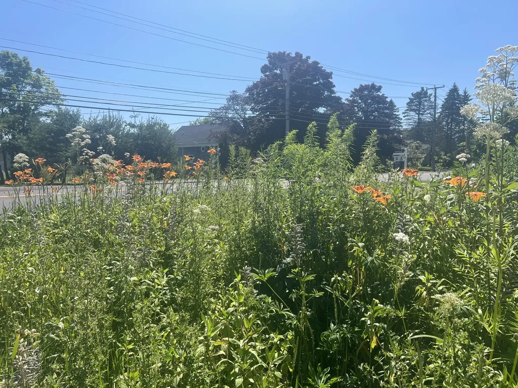36 Main Street Rockland ME 04841