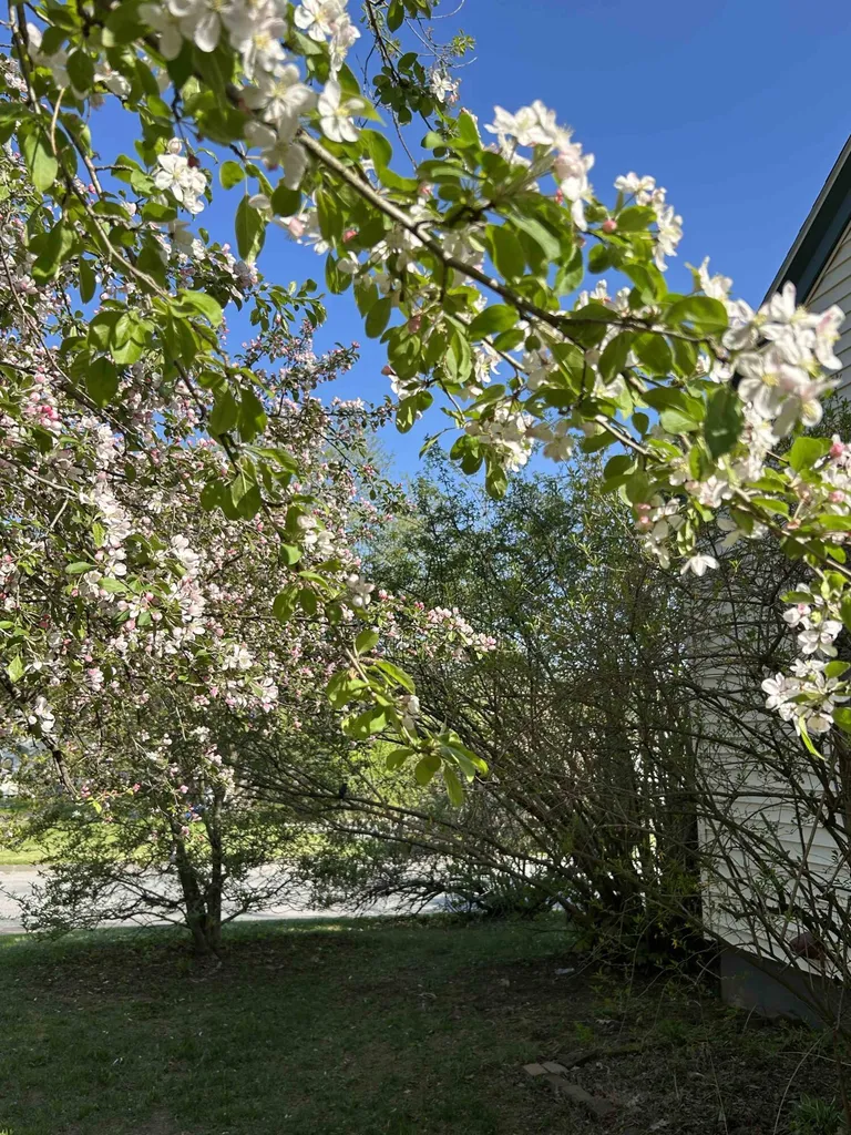 3 Franklin Street Waterville ME 04901