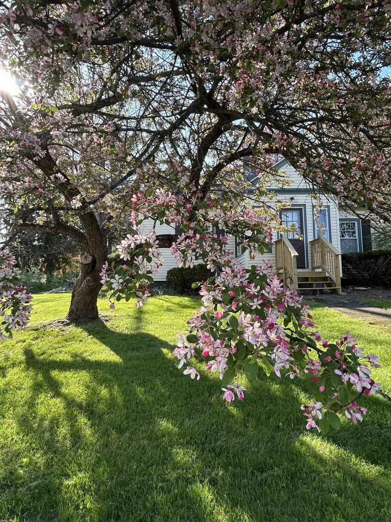 3 Franklin Street Waterville ME 04901