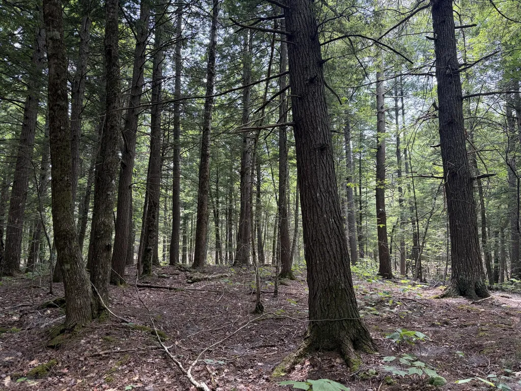 32 Acres Belden Woods Road Palermo ME 04354