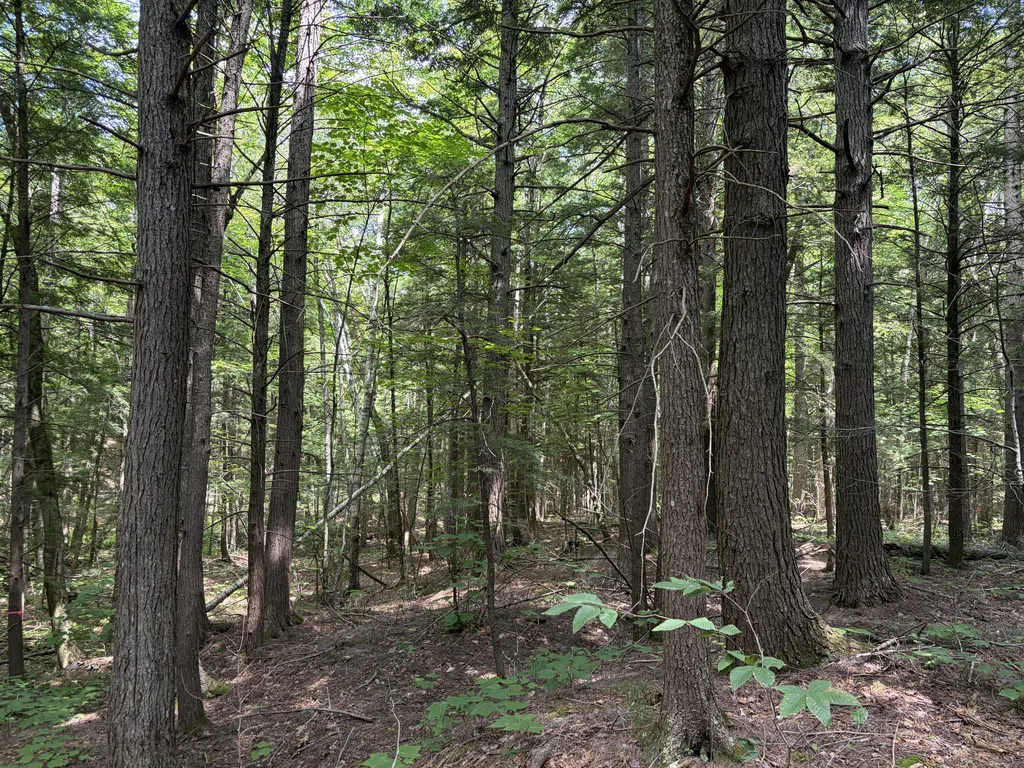 32 Acres Belden Woods Road Palermo ME 04354