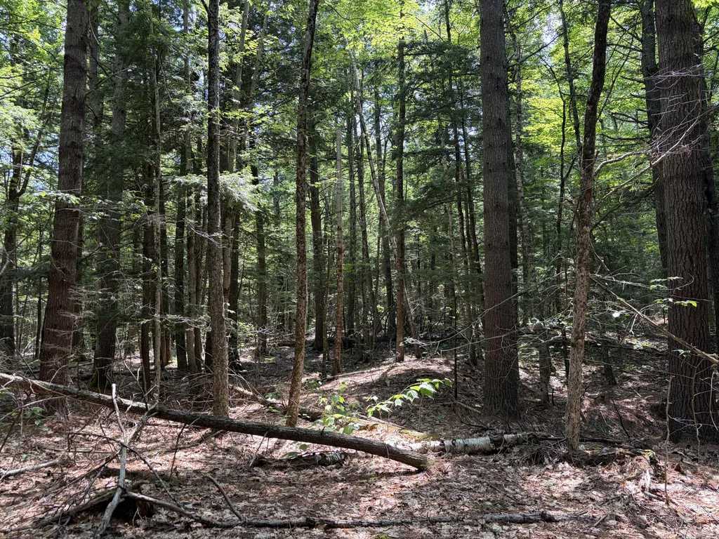 32 Acres Belden Woods Road Palermo ME 04354