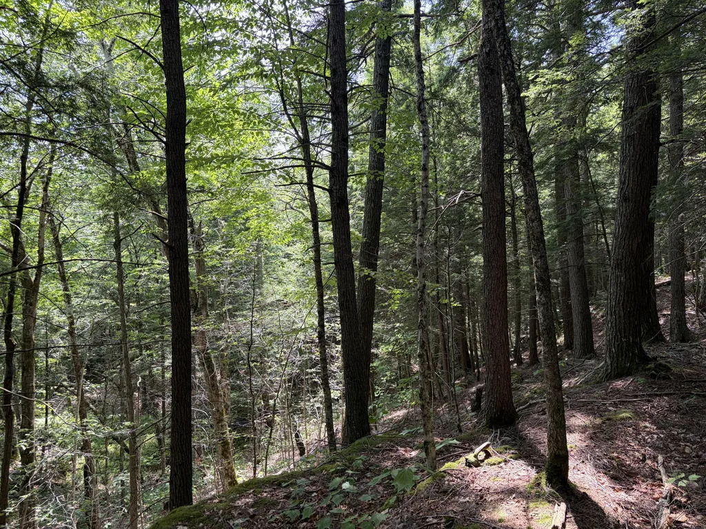 32 Acres Belden Woods Road Palermo ME 04354