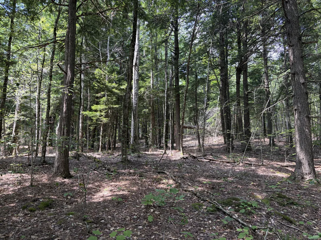 32 Acres Belden Woods Road Palermo ME 04354