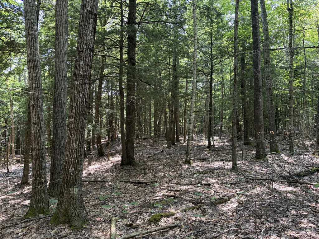32 Acres Belden Woods Road Palermo ME 04354