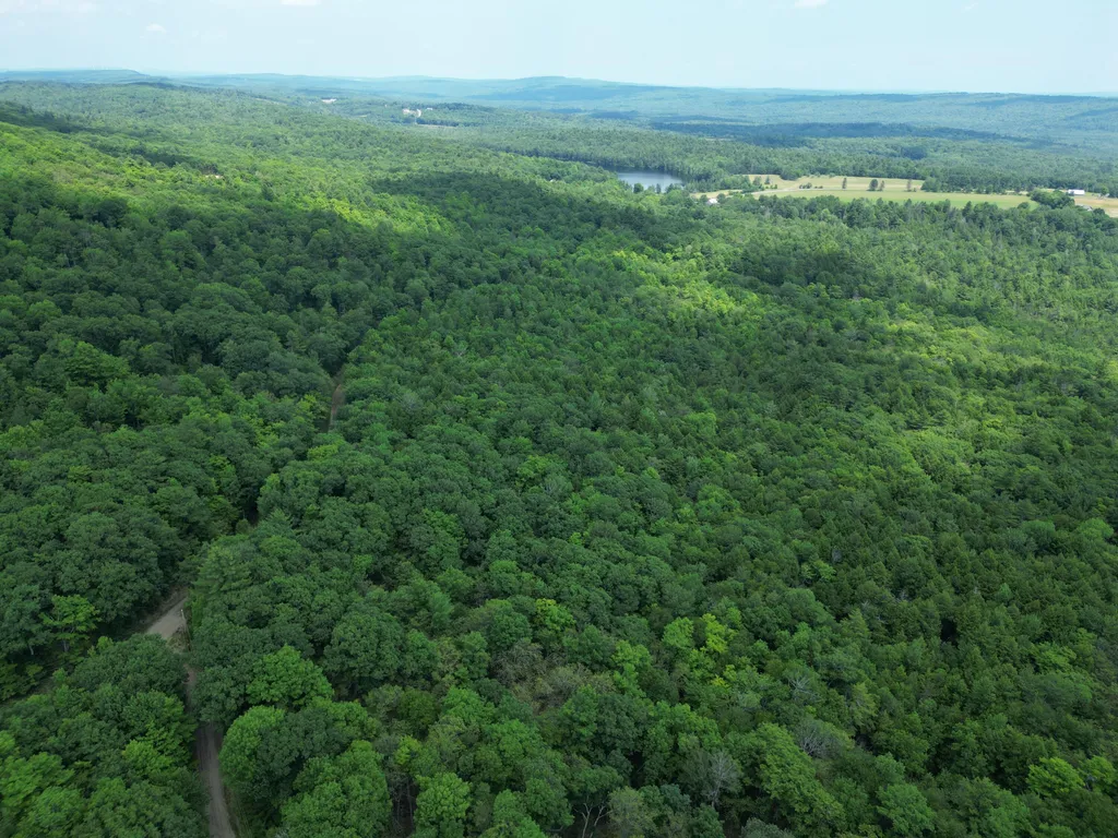 32 Acres Belden Woods Road Palermo ME 04354