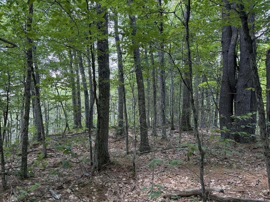 32 Acres Belden Woods Road Palermo ME 04354