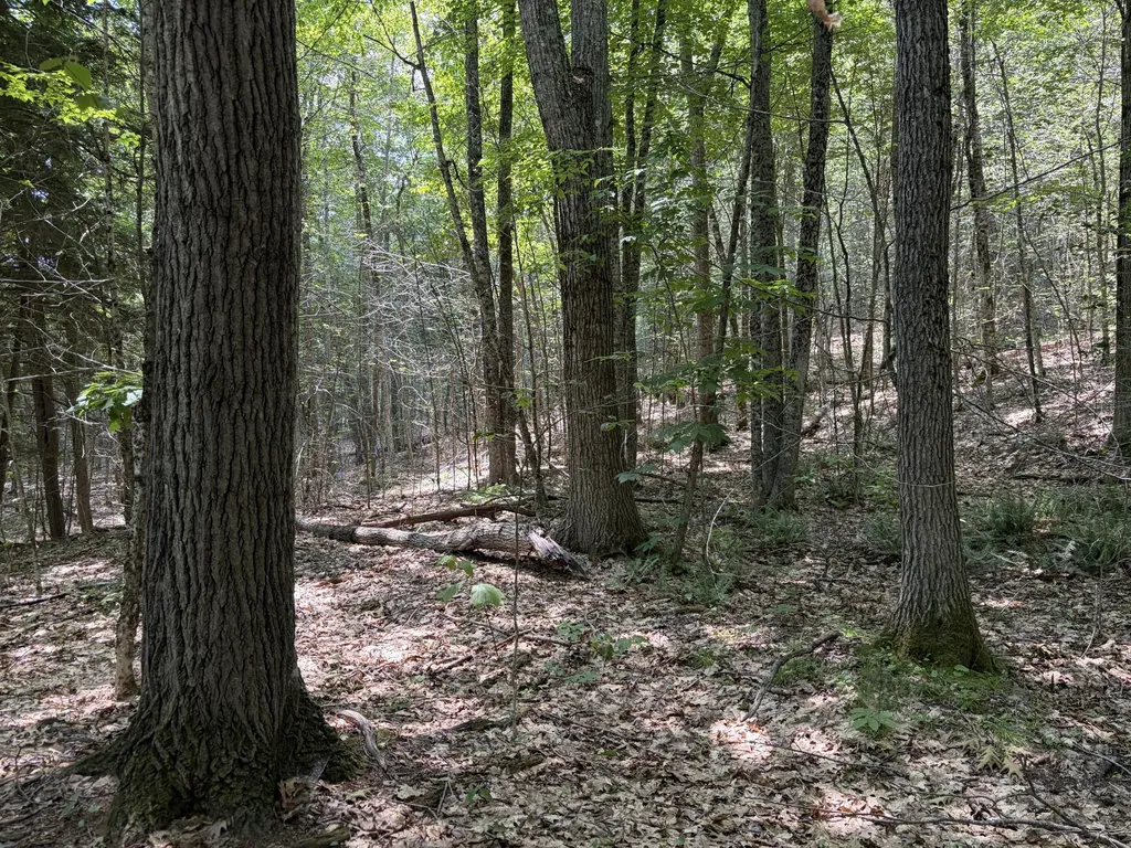 32 Acres Belden Woods Road Palermo ME 04354