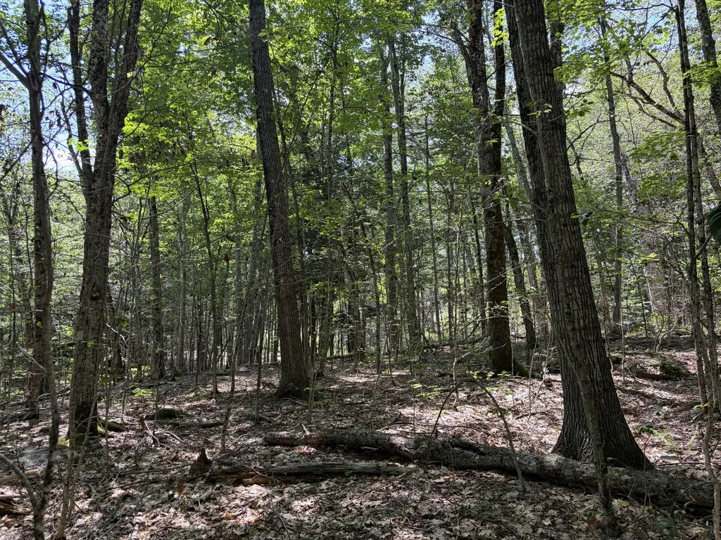 32 Acres Belden Woods Road Palermo ME 04354
