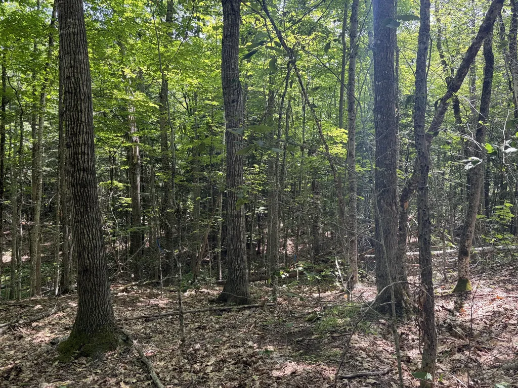 32 Acres Belden Woods Road Palermo ME 04354