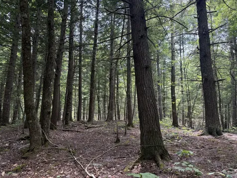 32 Acres Belden Woods Road Palermo ME 04354