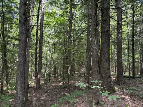 32 Acres Belden Woods Road Palermo ME 04354