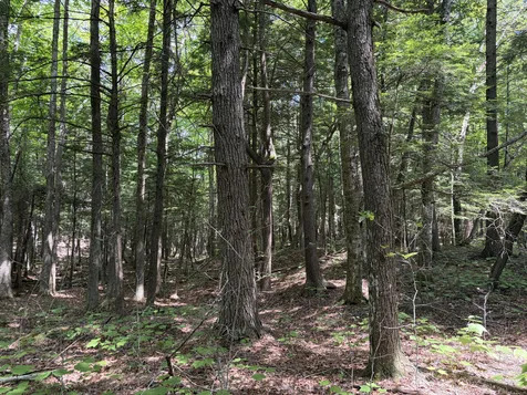 32 Acres Belden Woods Road Palermo ME 04354