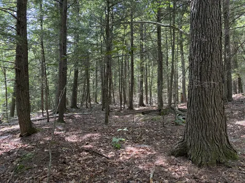 32 Acres Belden Woods Road Palermo ME 04354