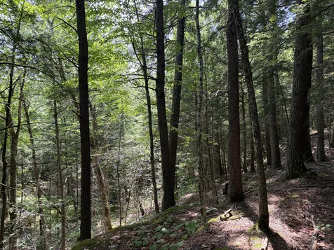 32 Acres Belden Woods Road Palermo ME 04354