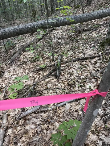 32 Acres Belden Woods Road Palermo ME 04354