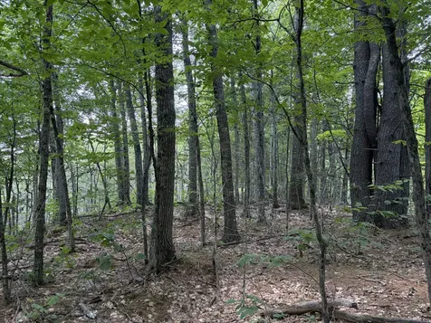 32 Acres Belden Woods Road Palermo ME 04354