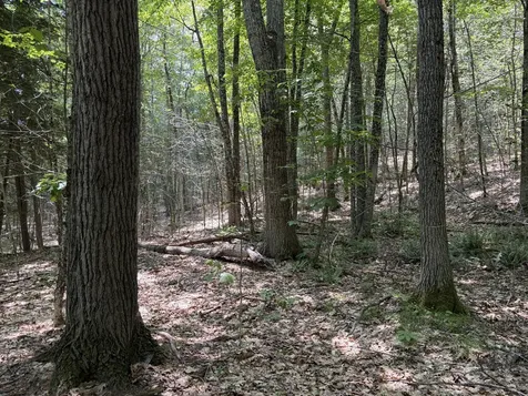 32 Acres Belden Woods Road Palermo ME 04354