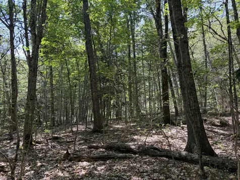 32 Acres Belden Woods Road Palermo ME 04354