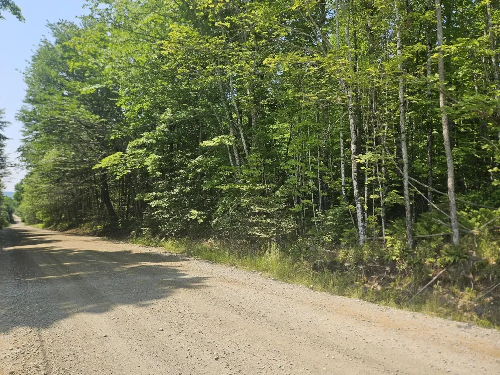 Lot 5 North Merrill Road Harmony ME 04942
