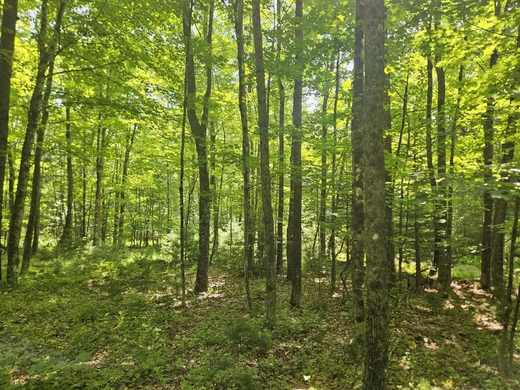 Lot 5 North Merrill Road Harmony ME 04942